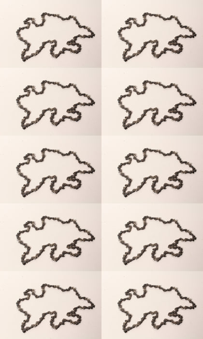 10 PK Genuine Oregon 91PX056G 16" AdvanceCut Saw Chain 3/8" Low Pro .050" 56DL