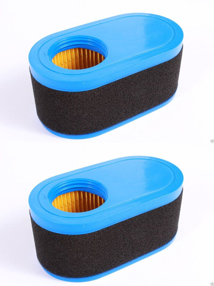 2 Pack MTD 937-05065A Air Filter For Bolens Craftsman Huskee Troy Bilt Yard-Man