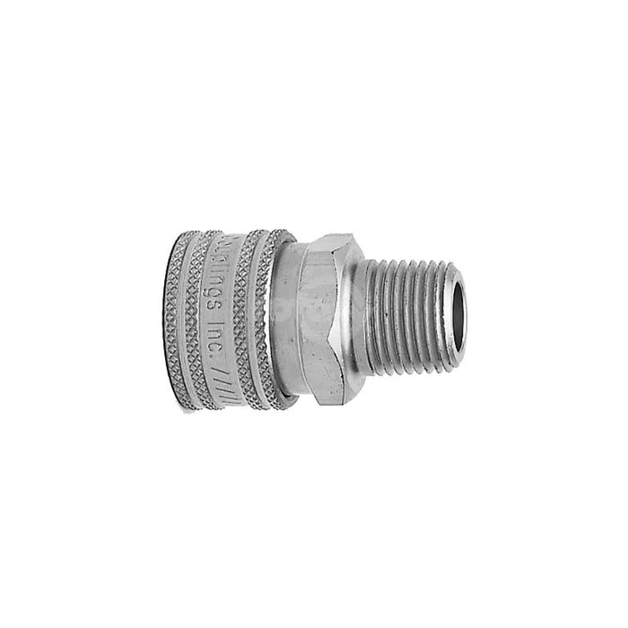 Rotary 9419 Brass Socket Mpt 1/4"