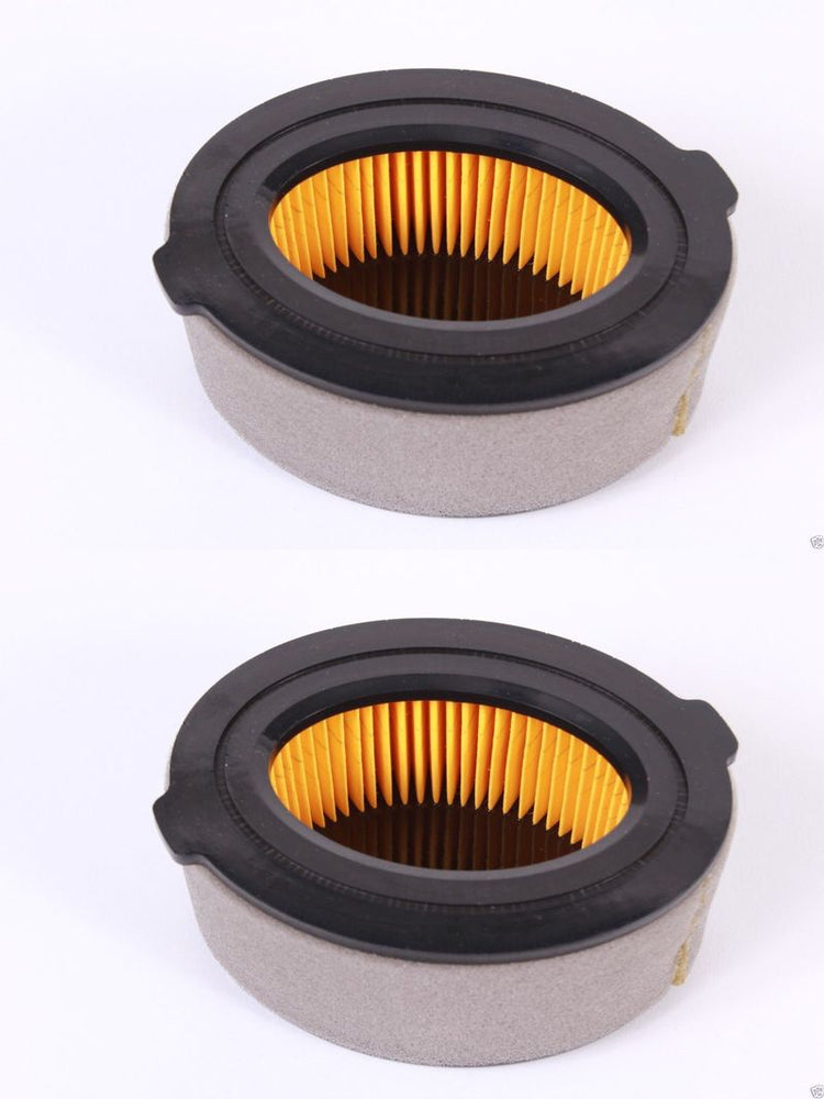 2 PK MTD 951-10794 Air Filter For Bolens Columbia Huskee Troy Bilt Craftsman OEM