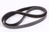 Laser 95832 Multi Ribbed Drive Belt Fits Toro 55-9300 CCR2000 CCR2001