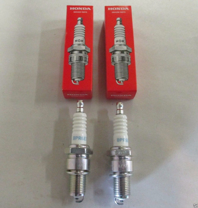 2 Pack Genuine Honda 98079-56846 Spark Plug Fits NGK BPR6ES OEM