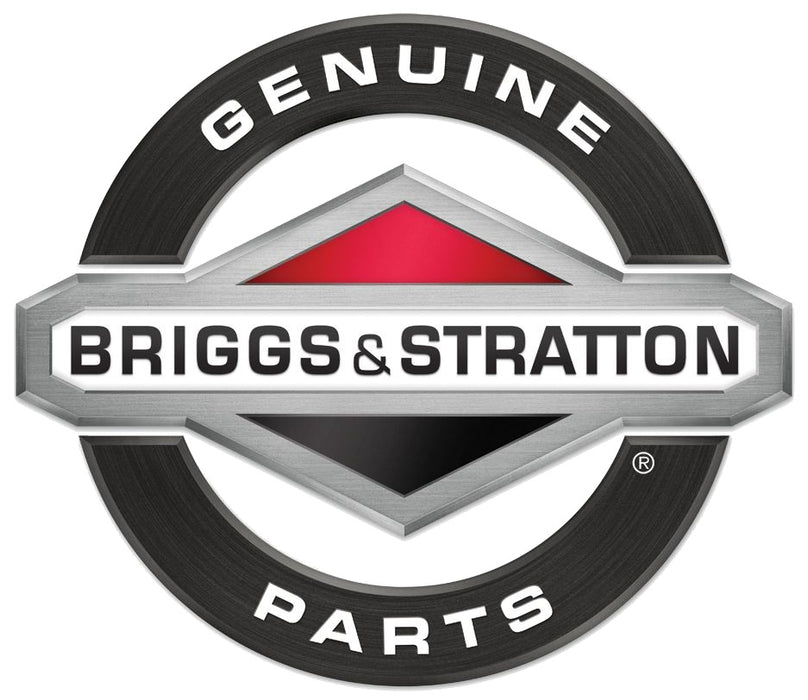 Genuine Briggs & Stratton 698537 Float Needle Valve OEM