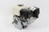 Genuine Honda GX120TQX2 4 HP Engine 3\4" Keyed Crankshaft Recoil Start