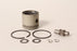 Genuine Echo P021045170 Piston Kit PB500H PB500T EB508RT 446s OEM