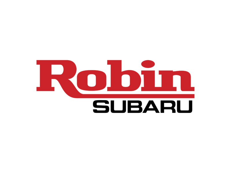 2 Pack Genuine Robin Subaru 279-32607-17 Air Filter Element & Pre Filter OEM