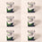 6 PK Ecogard Oil Filter Fits Honda 15400-PLM-A02PE Rotary 13237